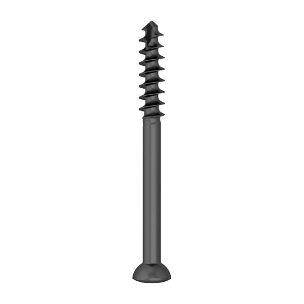 Half Threaded Torx Drive Cancellous Screw - Image 2