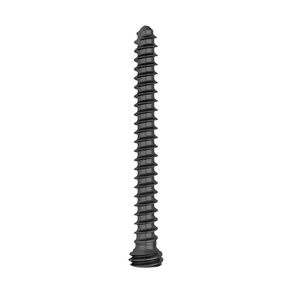 2.0mm Locking Screw Torx Drive Self-tapping - Image 3