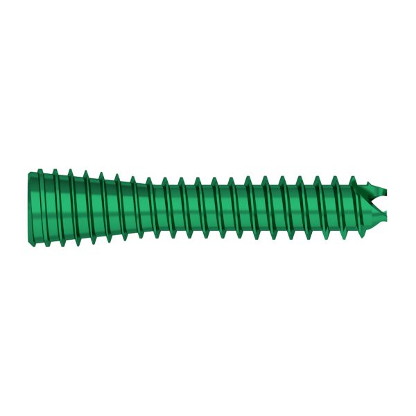 2.5mm Headless Compression Screw - Image 2