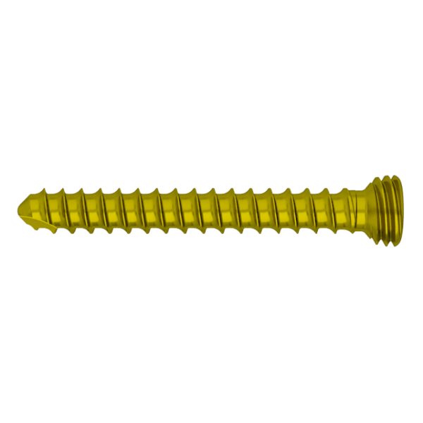 FA 2.4mm Torx Drive Self-tapping Locking Screw - Image 4