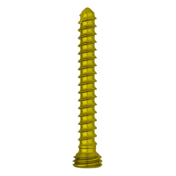 FA 2.4mm Torx Drive Self-tapping Locking Screw - Image 3