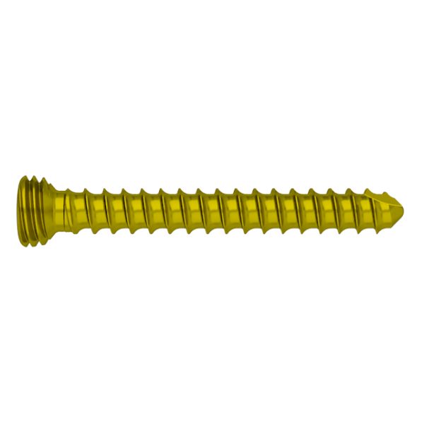 FA 2.4mm Torx Drive Self-tapping Locking Screw - Image 2