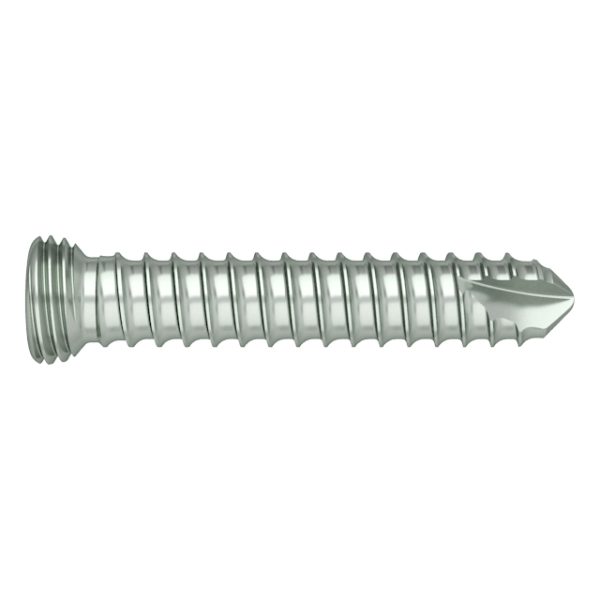 FA 3.5mm Torx Drive Self-tapping Locking Screw - Image 2