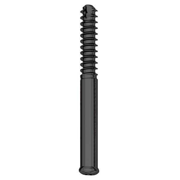 6.9mm Femoral Neck Screw - Image 3