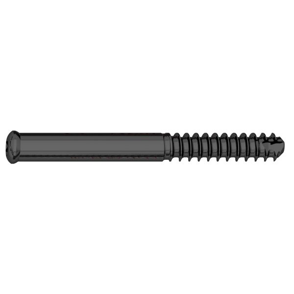 6.9mm Femoral Neck Screw - Image 2