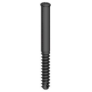 6.9mm Femoral Neck Screw