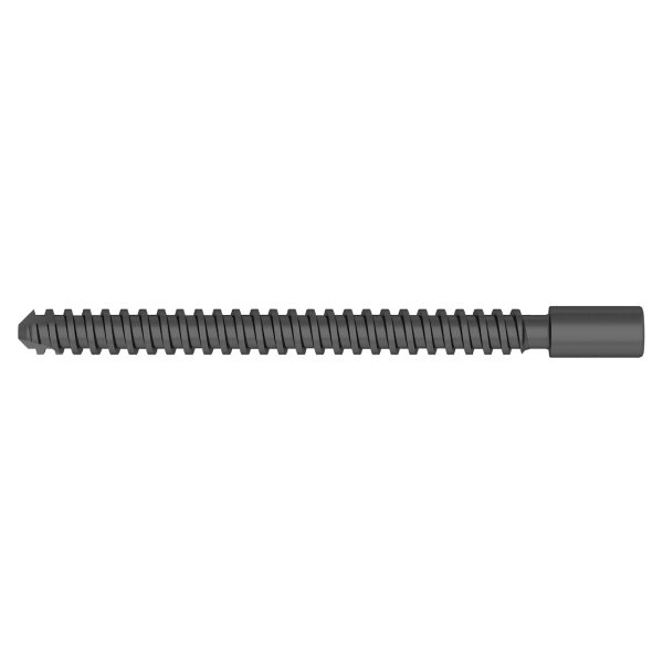 Compression Screw for  Proximal Femoral Compression Nail - Image 4