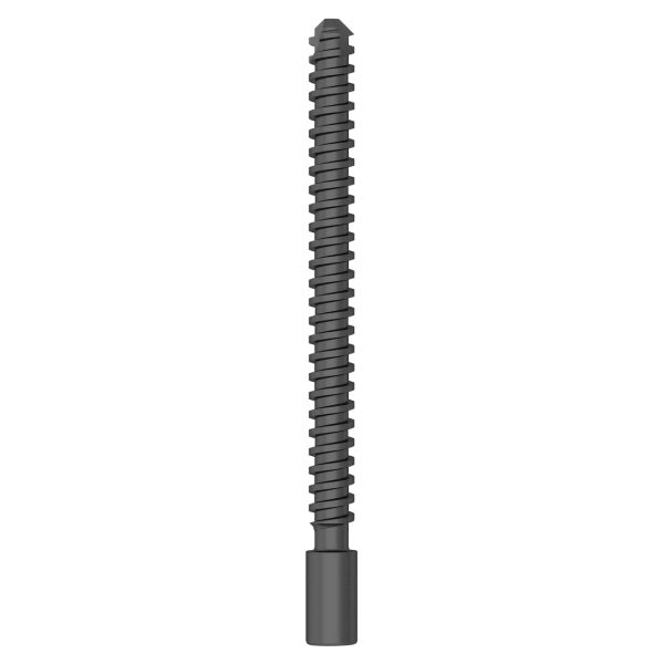 Compression Screw for  Proximal Femoral Compression Nail - Image 3