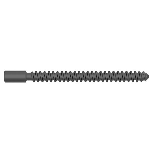 Compression Screw for  Proximal Femoral Compression Nail - Image 2
