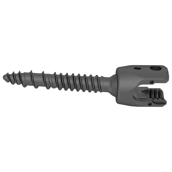GSS I Polyaxial Screw for 5.5/6.0mm System - Image 4