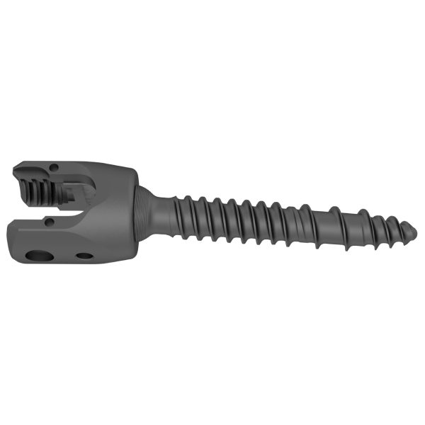 GSS I Polyaxial Screw for 5.5/6.0mm System - Image 2