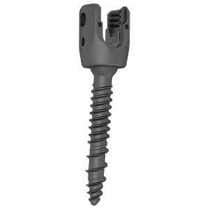GSS I Polyaxial Screw