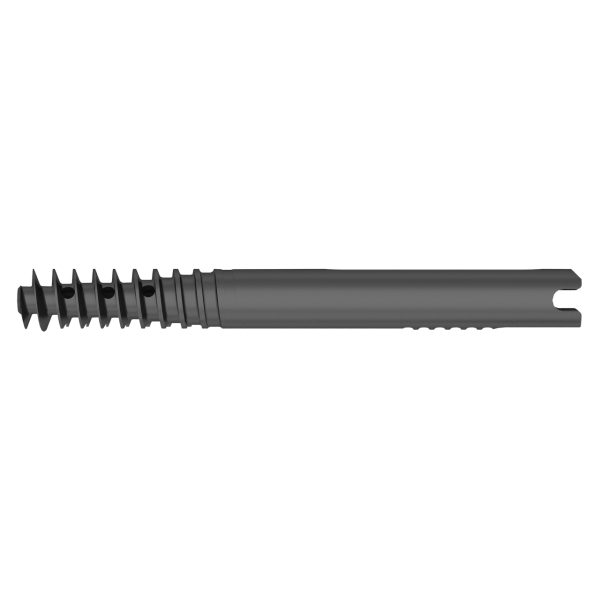 Lag Screw for Proximal Femoral Compression Nail - Image 4