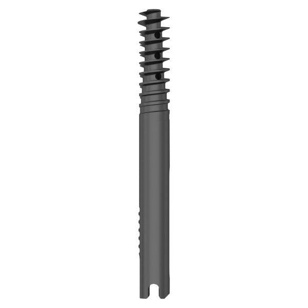 Lag Screw for Proximal Femoral Compression Nail - Image 3