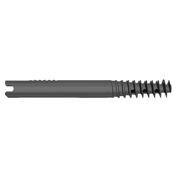 Lag Screw for Proximal Femoral Compression Nail - Image 2