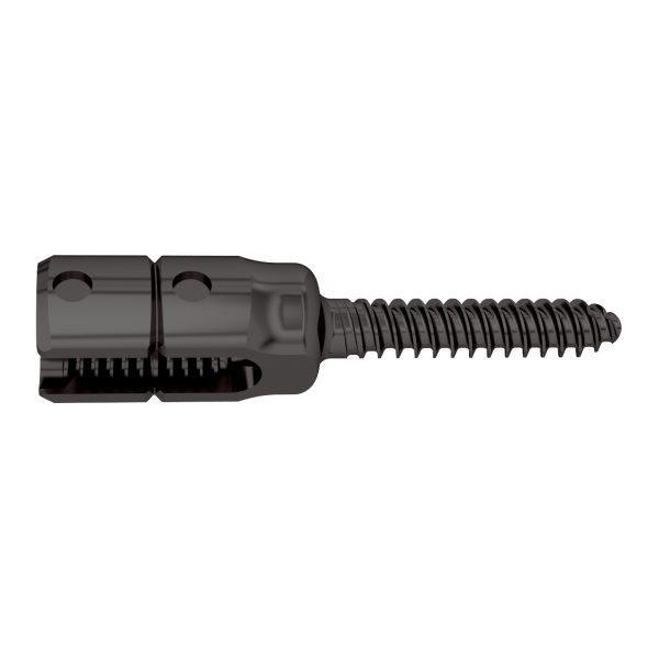 Posterior Cervical Long Arm Monoaxial Pedicle Screw for 3.5/4.0mm System - Image 2