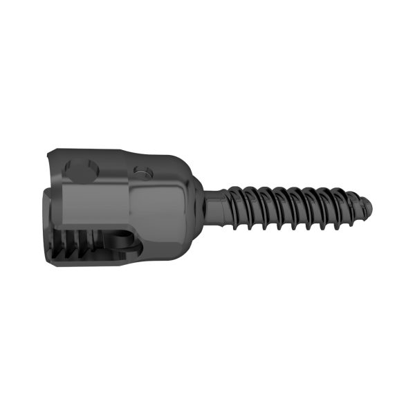 Posterior Cervical Polyaxial Pedicle Screw Fully Threaded - Image 2